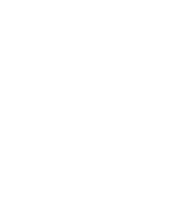 Vector (3)